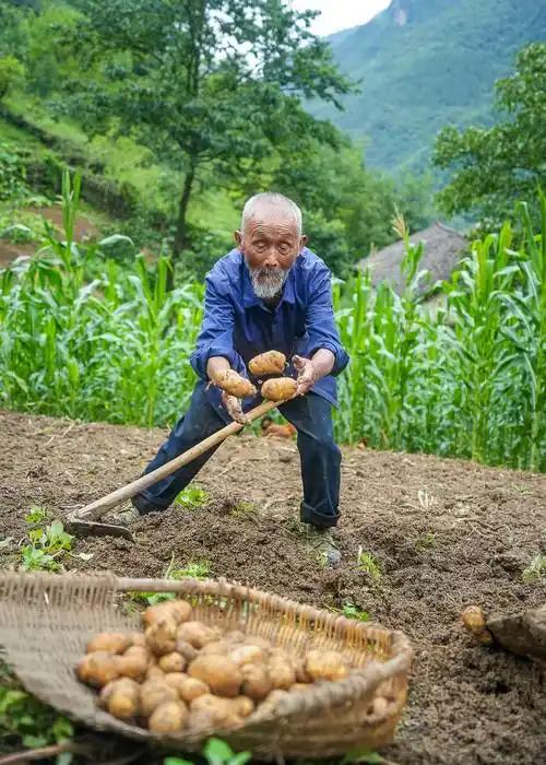 这想法挺有意思哈。
中国现在人均寿命79岁，有些网友说，身边同学同事好友五六十岁