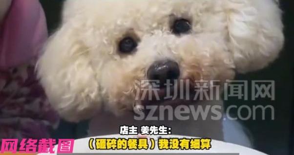 河南商丘有女子带自家的小狗狗并同来饭店，但女子还把狗狗上了饭桌，这下让饭店也是彻