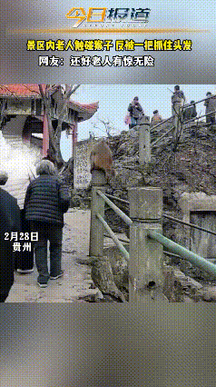 真的别再随便招惹景区里的猴子了，很多教训还不够醒人吗？
 
猴子安安静静待在石柱