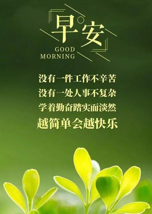 青春一去不重回，
且把闲情伴晚晖。
日日欢颜心自畅，
悠然安享岁华微。
平安、快