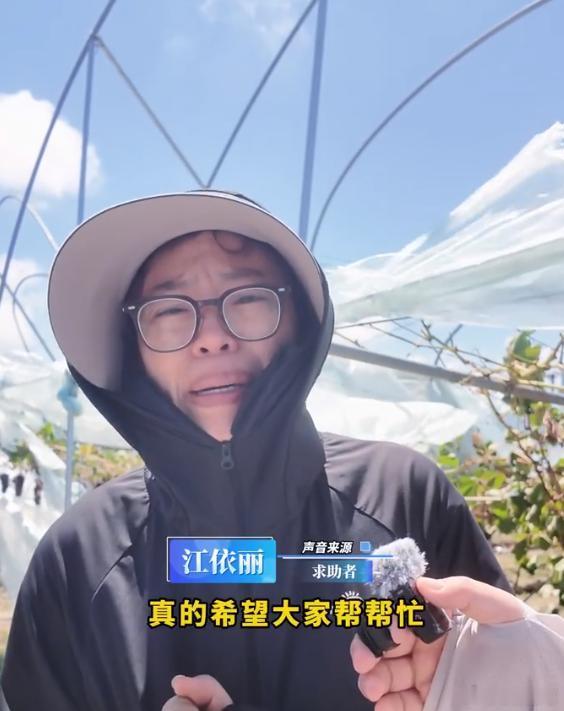 有一种温岭速度叫助农接力台风致五万斤葡萄滞销果农损失惨重，融媒体发起线上助农接龙