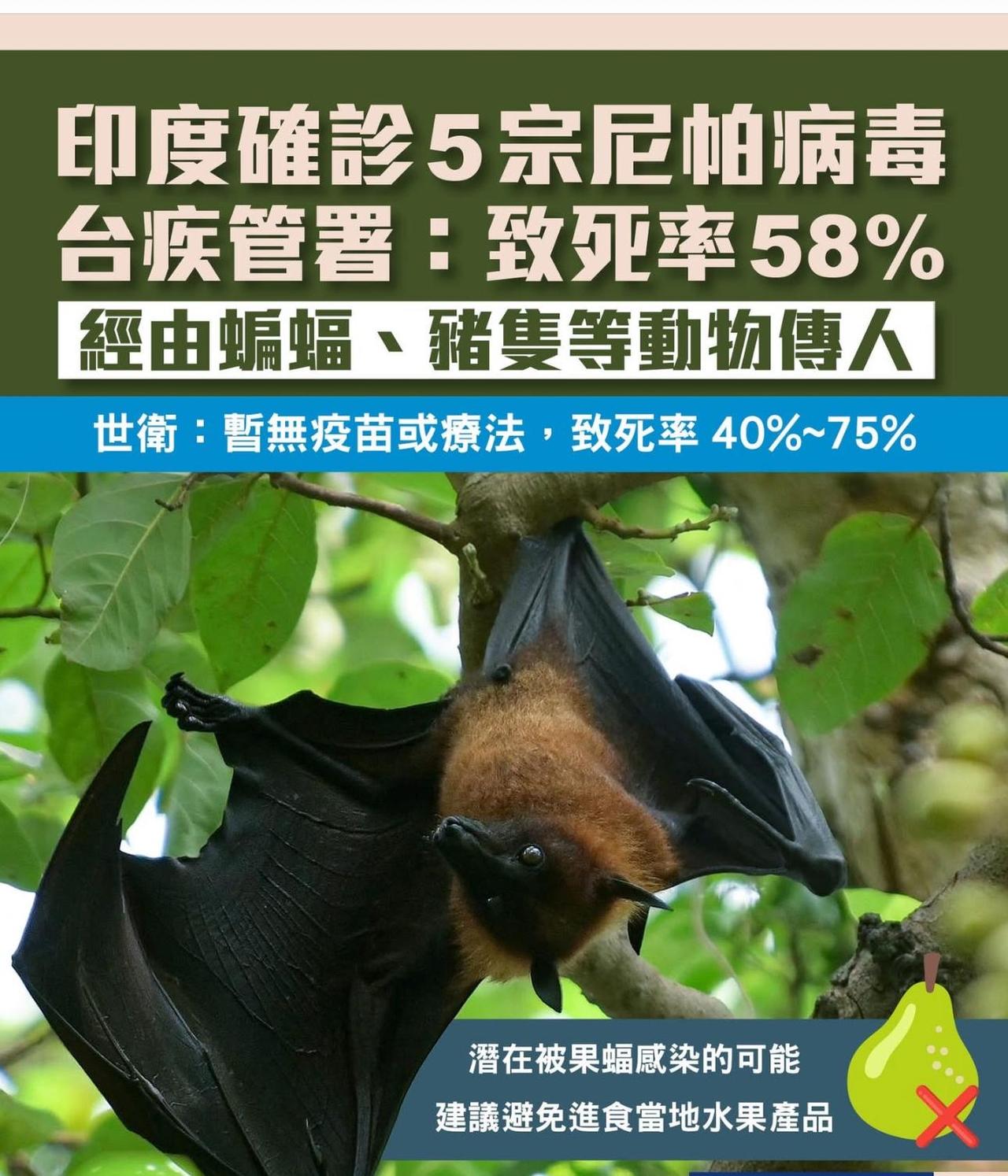 【观世界】【印度确诊5宗尼帕病毒，泰疾管署：致死率58%】

印度近期出现可致命