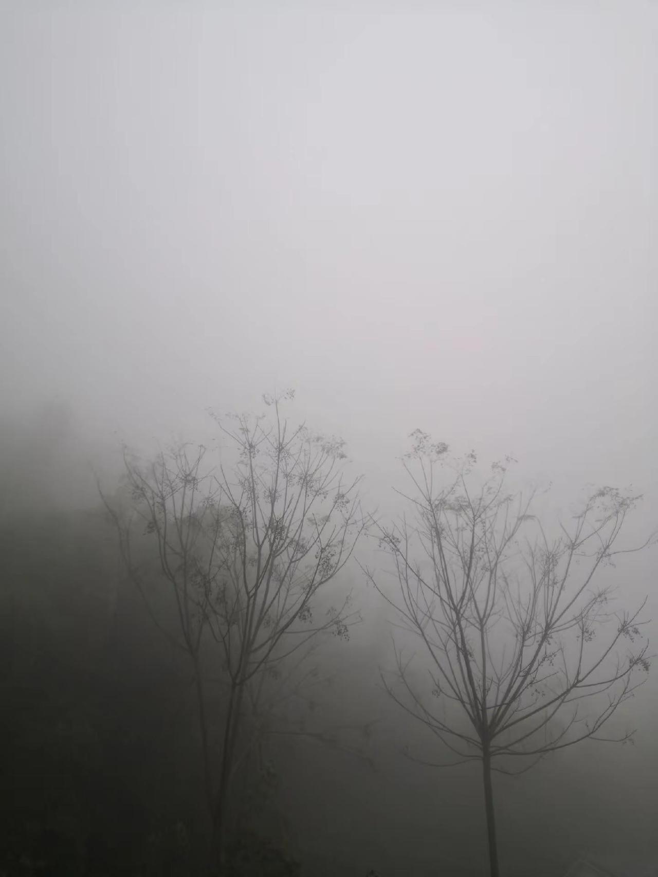 冯店农村欢迎您山上风景 山上美景 天空美景视频 农村风景