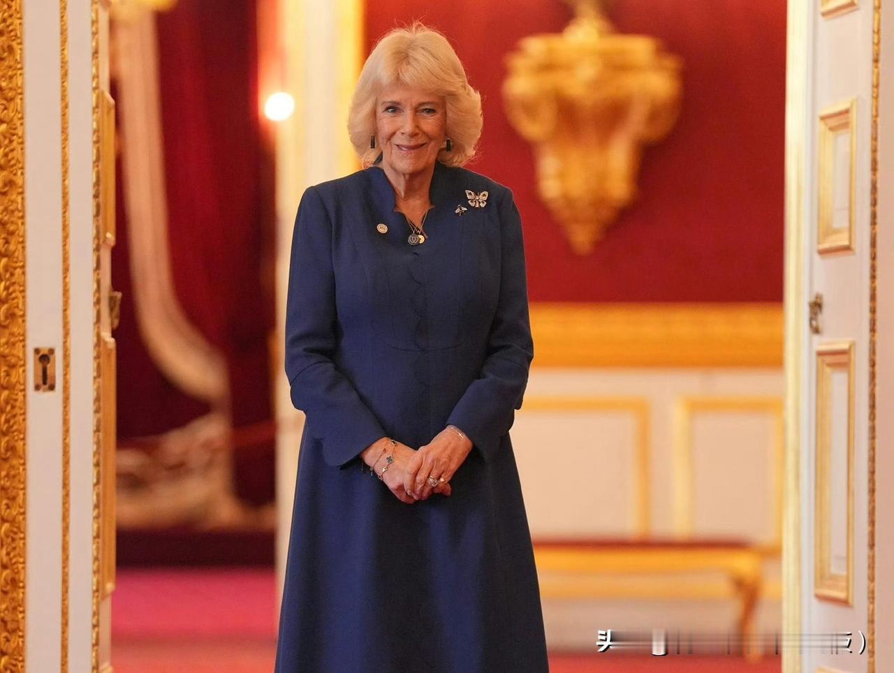 卡米拉王后在圣詹姆施宫，主持征文比赛颁奖礼！