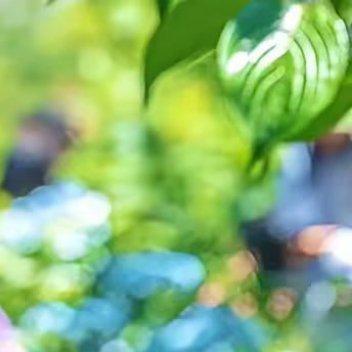 每日一善 🍊 阳光信用🍊 每日一善 人生就是一场修行，修的就是一颗心，珍惜今