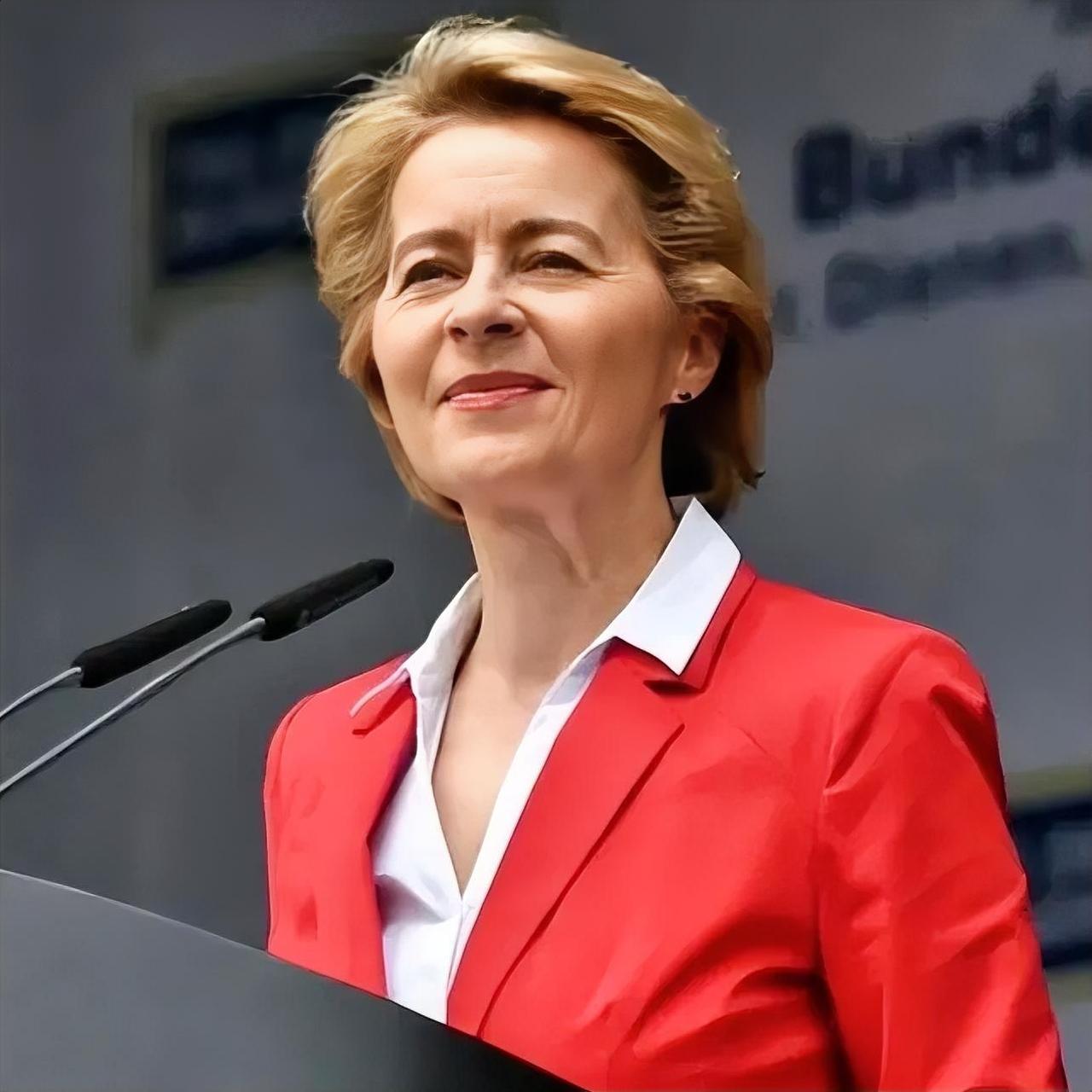 欧盟“要求”我们：要像对待美国一样，为他们稳定供应稀土等关键原材料。大家觉得要不