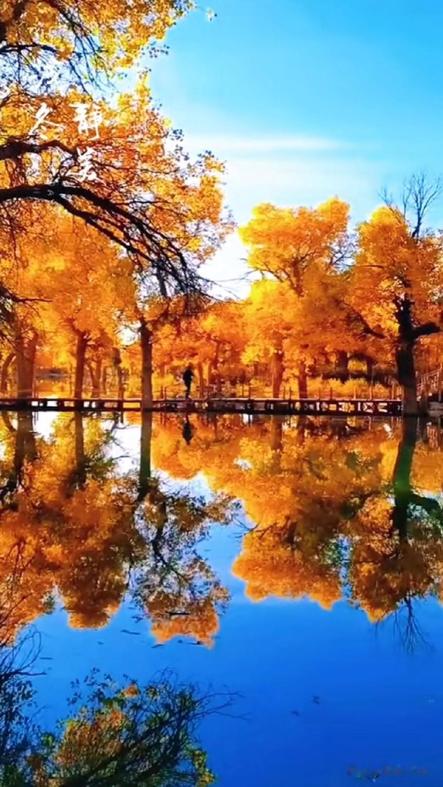 胃癌后，请不要过于焦虑！
今天又刷到好几个谈到胃癌的博主，其中还有一个是晚期的，