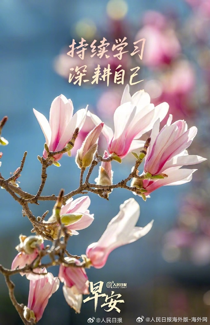 #向海外朋友问好# 【持续学习，相信细水长流的力量】成长不是一蹴而就的奇迹，而是