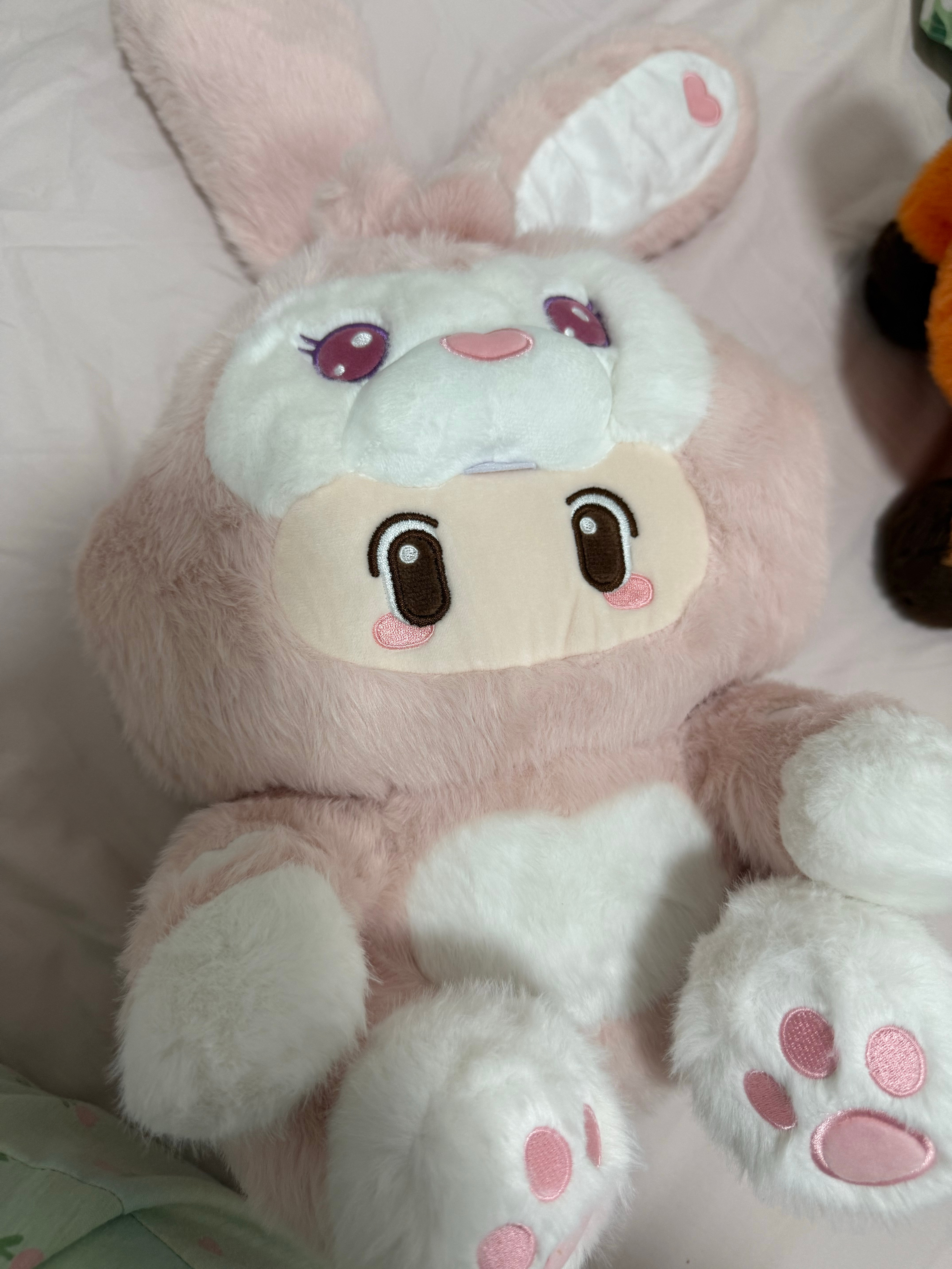 萌！ ​​​
