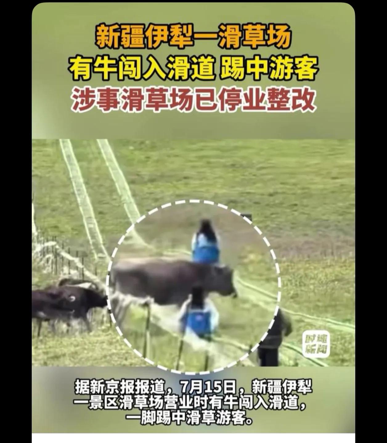 应该是晕过去一下 马上就醒过来了 她马上又用手去扶车座 但是这么挨一下你跟我说没