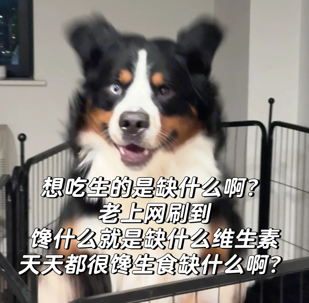 馋生食是缺什么啊