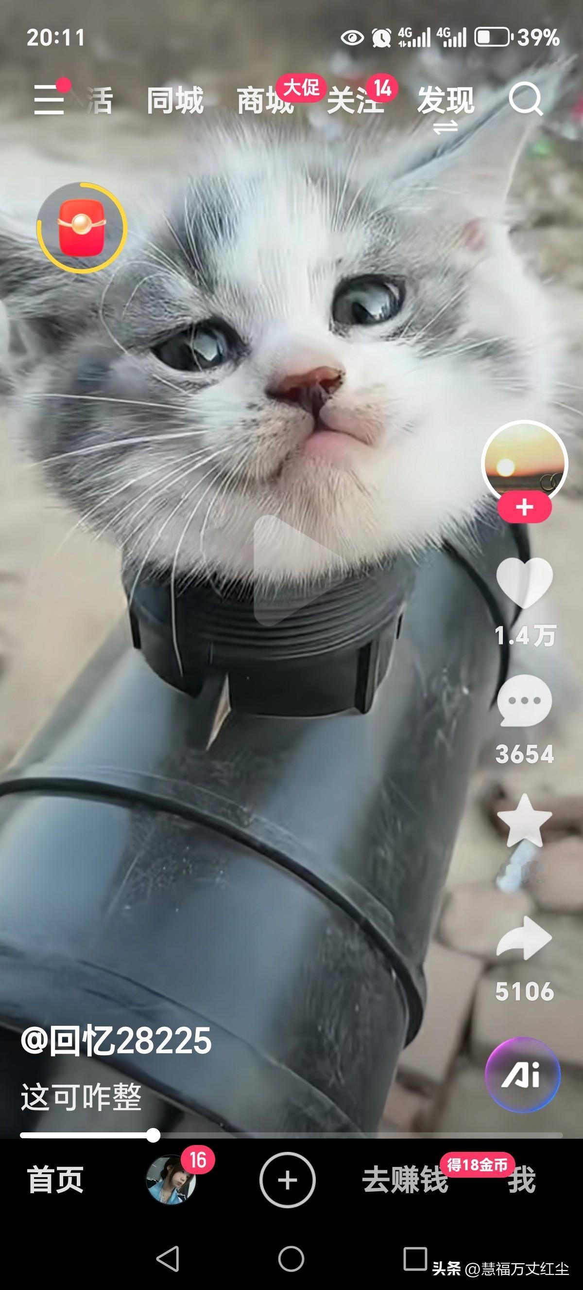 冬日生活打卡季