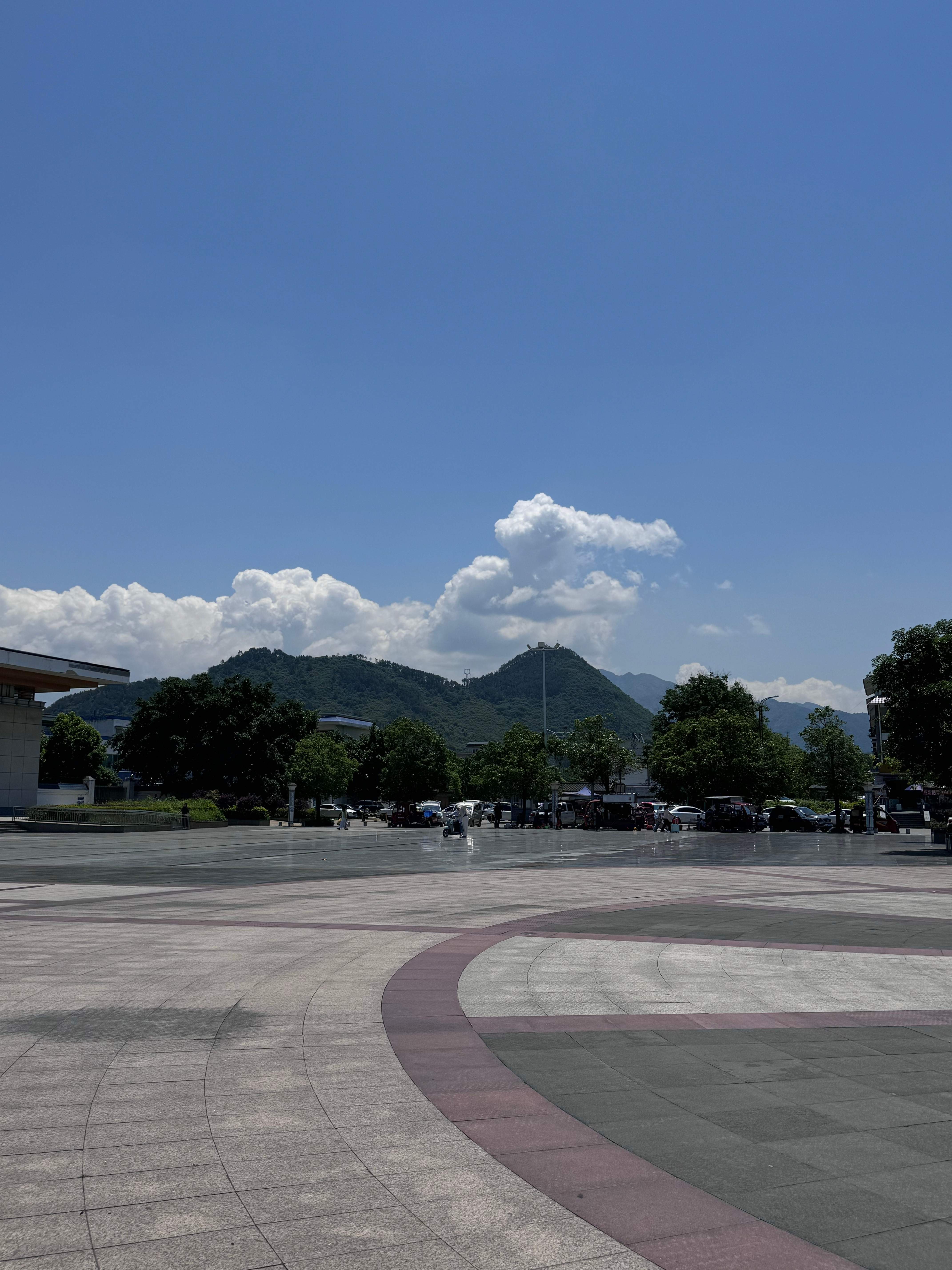 这天气简直不要太好