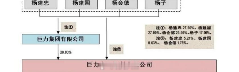 巨力索具杨氏家族套现已30亿杨子家族赢麻了！10万小股东们被坑惨了！现在证监会来