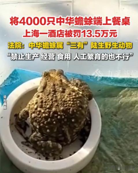 “聪明反被聪明误！”6月6日报道，上海一家酒店为了暴利，刻意钻法律空子40天内疯