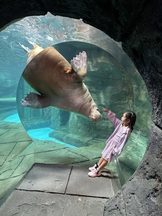 不来哈尔滨都不知道波塞冬这么好拍！！！