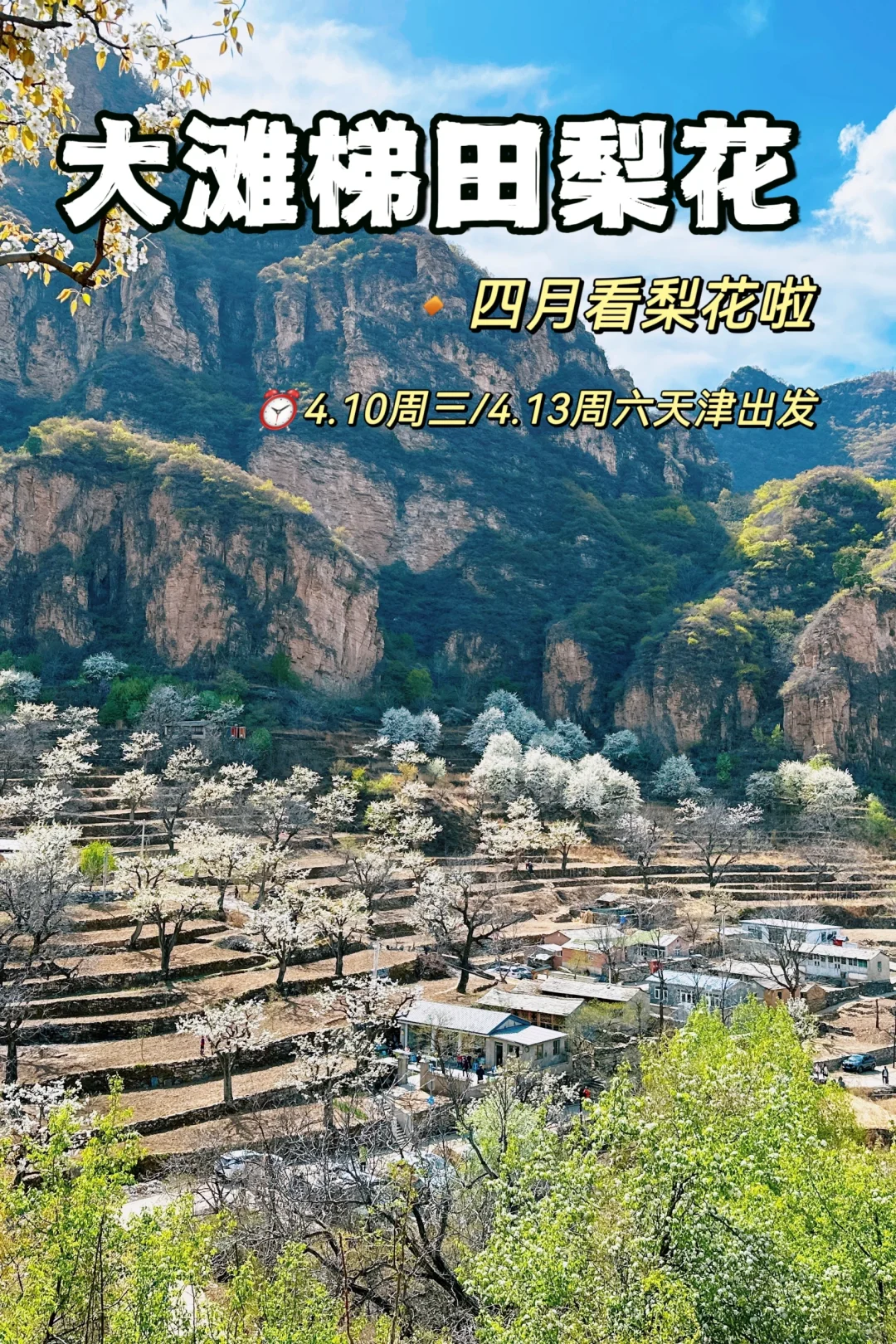 天津四月看最美梨花梯田，赏花徒步