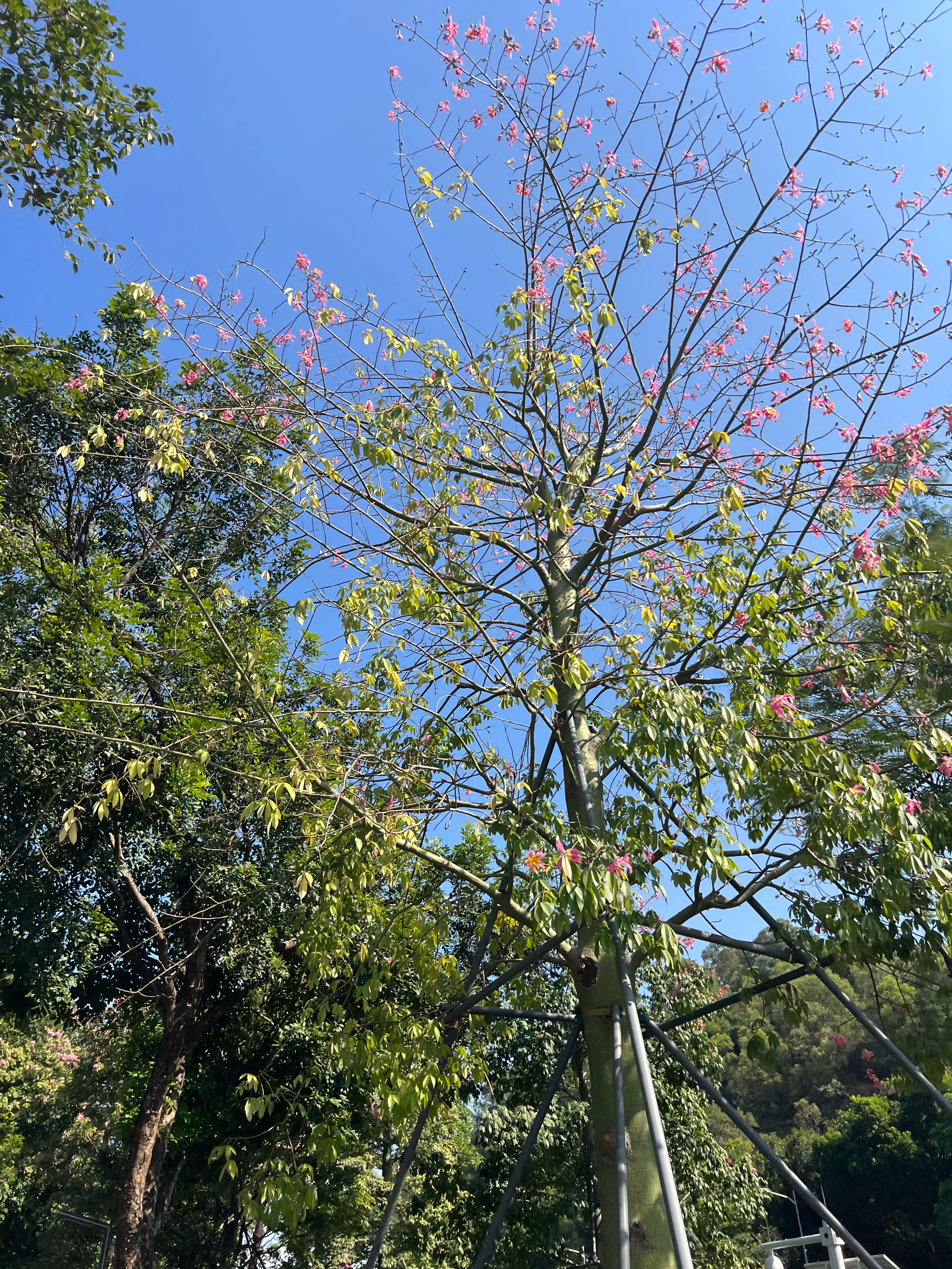 你不要怕得罪人，因为得罪人比得抑郁症划算的多。 