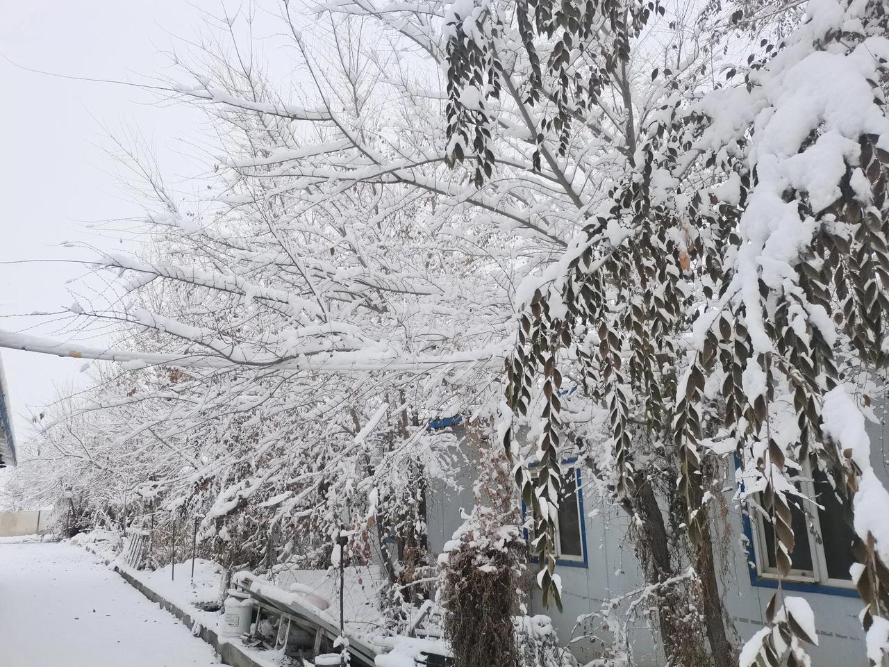 冬日生活打卡季