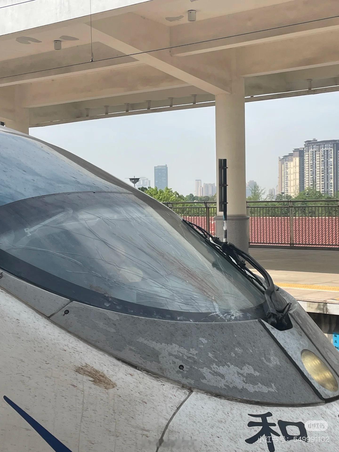G8784今日遭遇鸟击风挡碎裂在资阳北停靠更换列车高铁[超话] ​​​
