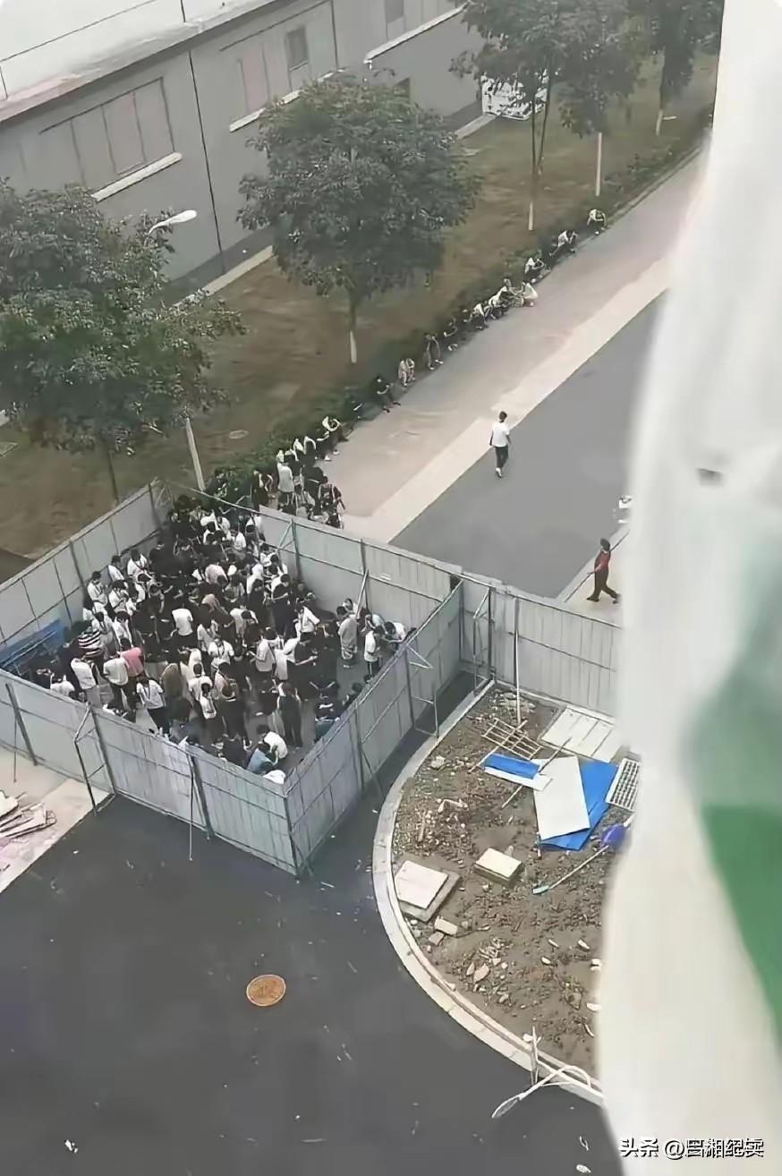 虽然我支持戒烟，但是这样对待吸烟的人，确实是一种侮辱……🌚