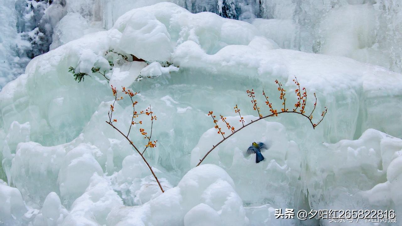 上联:冰封万里江河冷
下联:雪舞千山草木寒