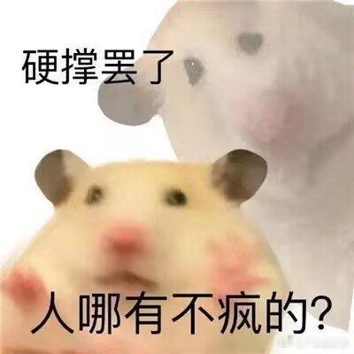 每次写到家庭戏咪就开始烦躁但是不写也不行，忍忍啵