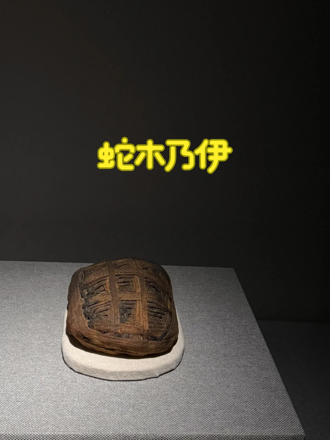 算是离蛇最近的一次了，远看以为是“粽子”