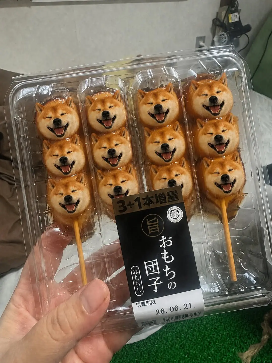 柴犬