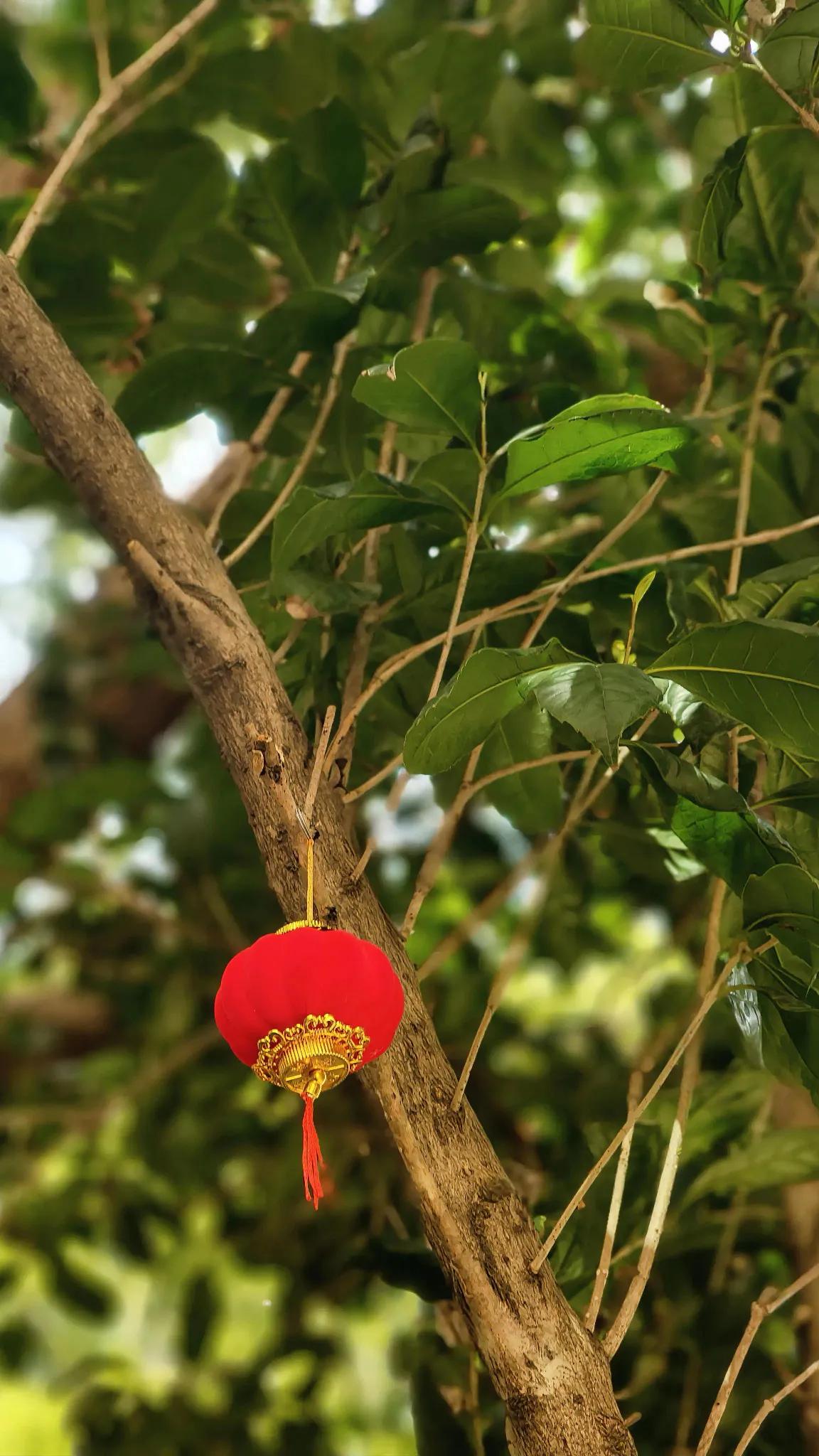 她受够了伸手向别人要钱的日子，毅然下定决心外出务工，可现实却毫不留情地给了她当头