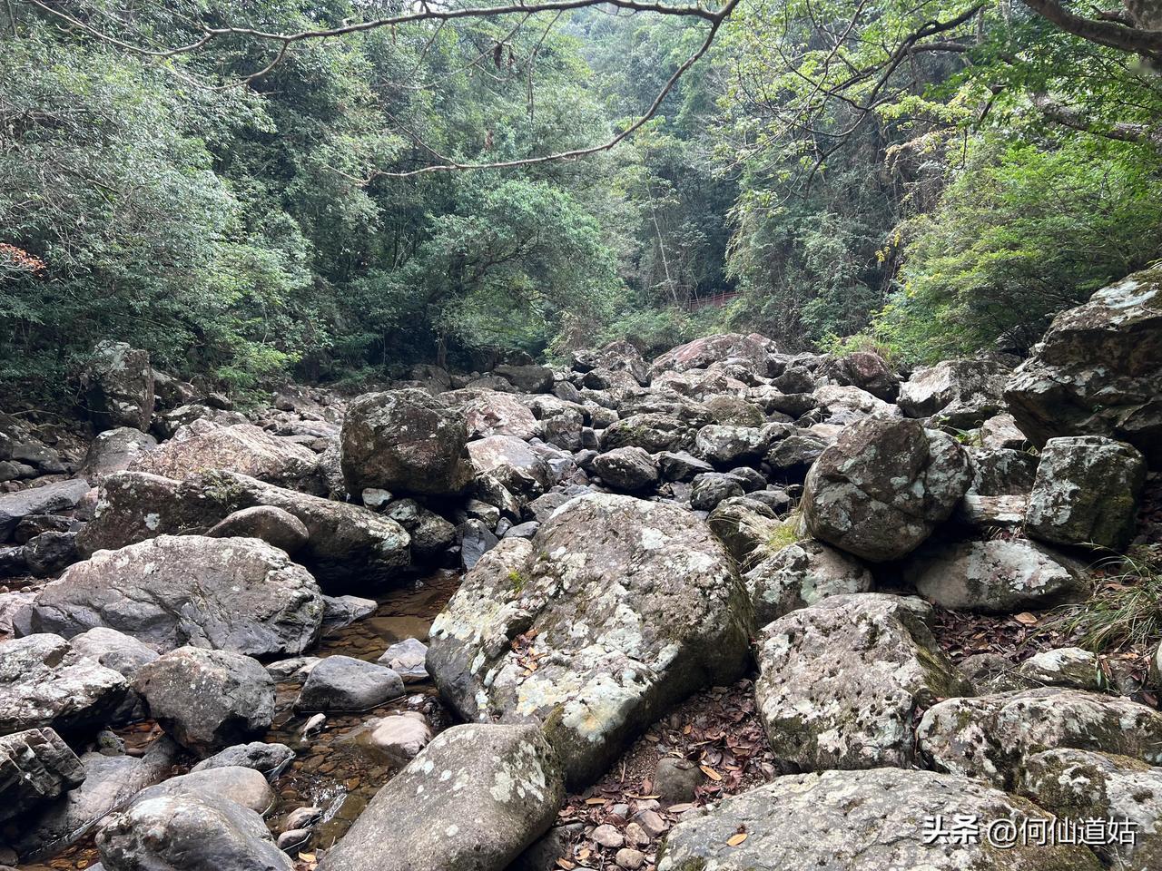 三百山景点之一·金龟饮泉

溪流中乱石嶙峋，其中三块巨石，形如龟（其实不大像），