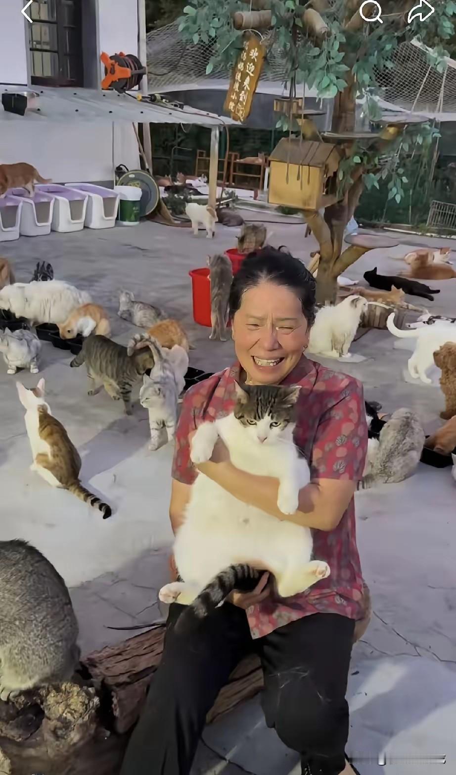了不起的铲屎官！一名女子做了30多年女警察，退休后没啥事可做，看见无家可归的小猫