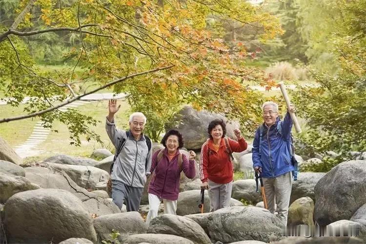 蒋某是公务员，妻子是教师，两人退休金一共15000元/月。
他们经常去全国各地游