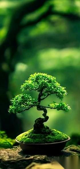 你不联系我，我也不联系你。
你要是突然联系我了，我还得在心里掂量掂量：你这是不是