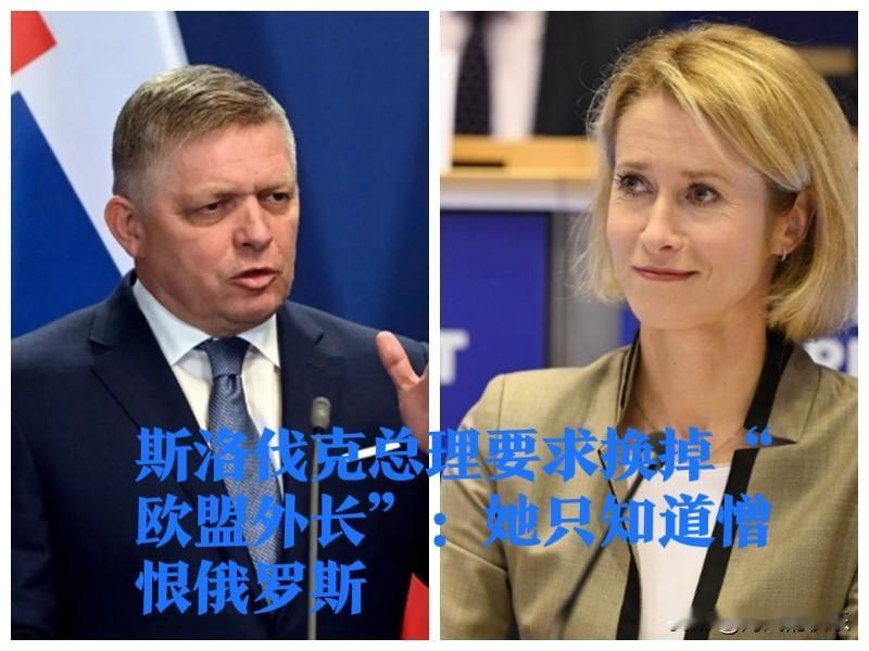斯洛伐克总理要求换掉“欧盟外长”：她只知道憎恨俄罗斯

   据外媒报道俄乌战争