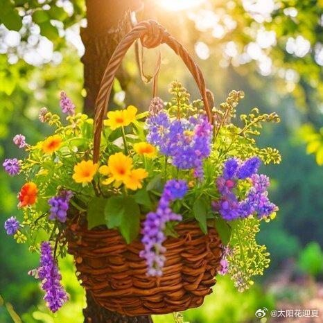 晚安  每一个清晨，记得告诉自己：没有奇迹，只有你努力的轨迹；没有运气，只有你坚