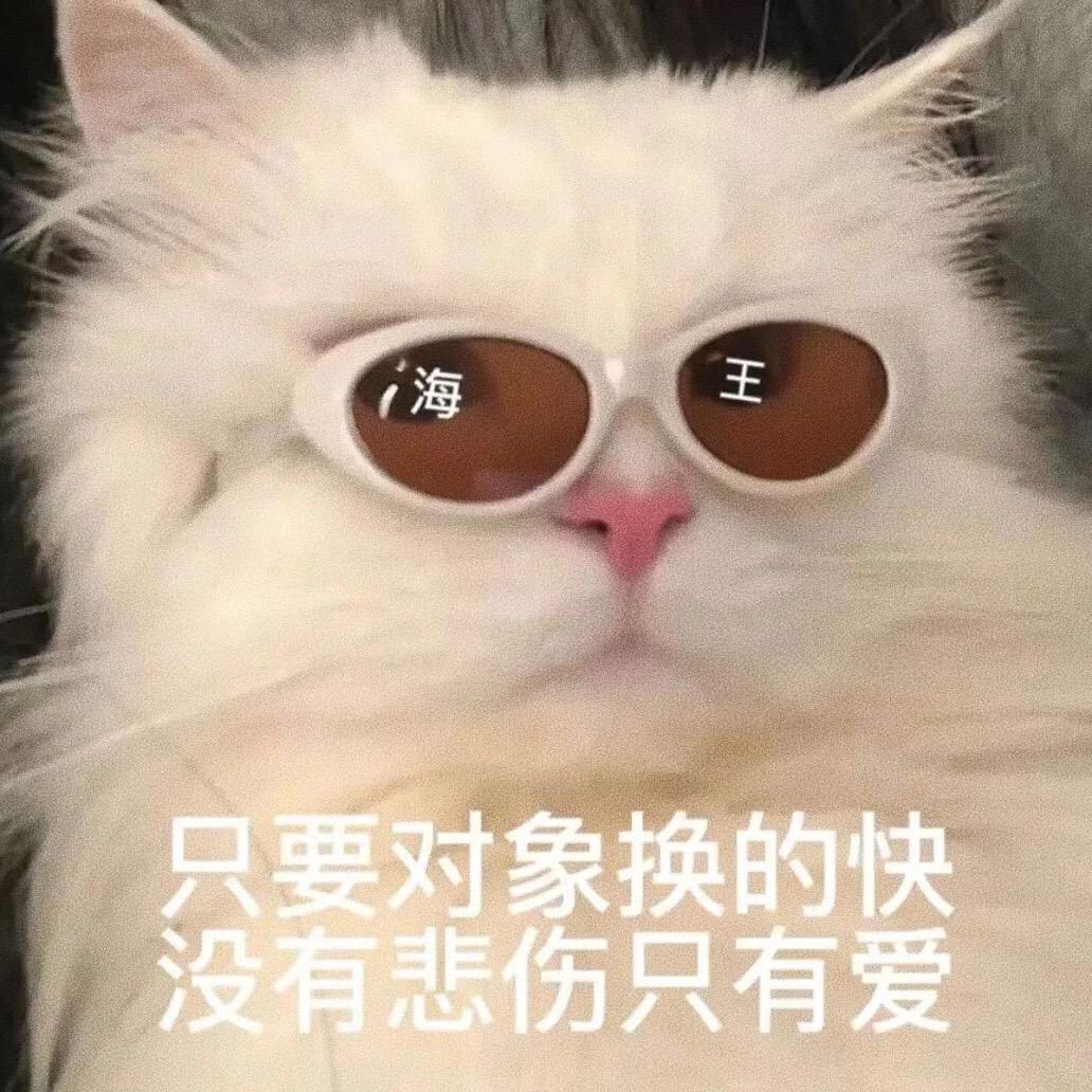 这么好看又实用的表情包，还不快保存起来。趣味表情包 #猫咪表情包