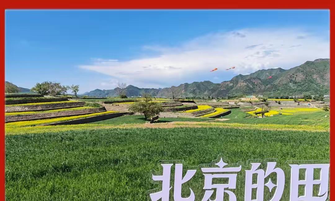 你的老婆若是她，
温柔貌美气质佳，
能否天天宠到家，
相亲相爱过家家。