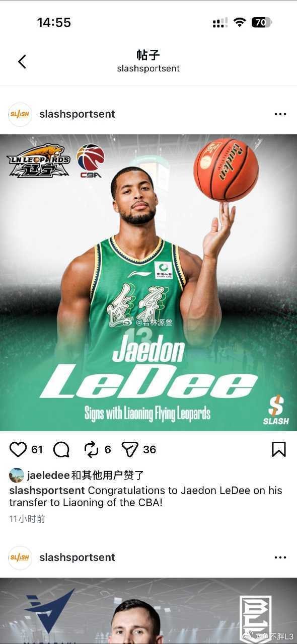 勒迪自宣加盟辽宁男篮，身披13号球衣加油，帮大漠减减负辽宁男篮