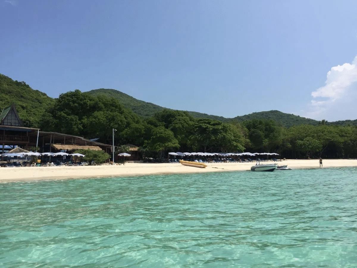 最近全球目光都盯着北极那块冰封宝地——格陵兰岛，一场大国之间的明争暗斗正闹得火热