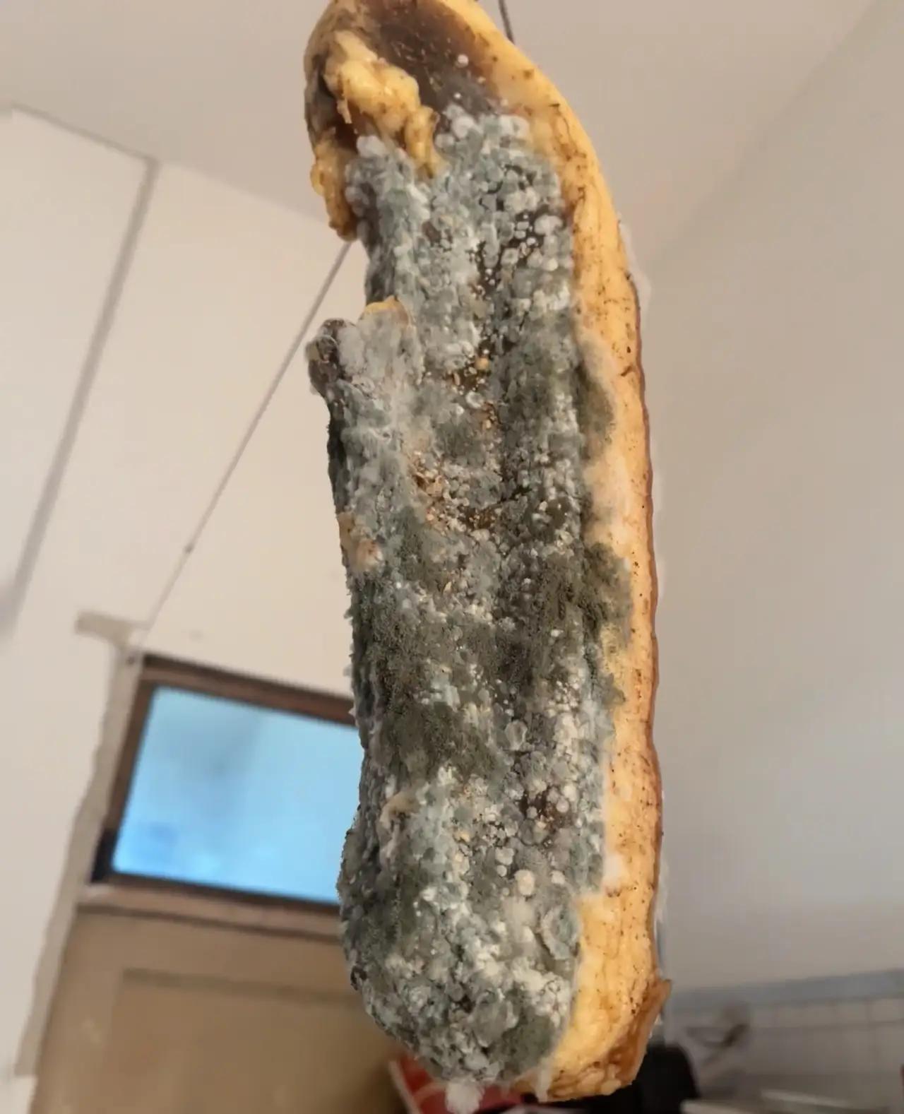 "太闹心了!"邻居好心送给他家人贵州老家寄来的腊肉，结果女子打开一看，满满一层霉