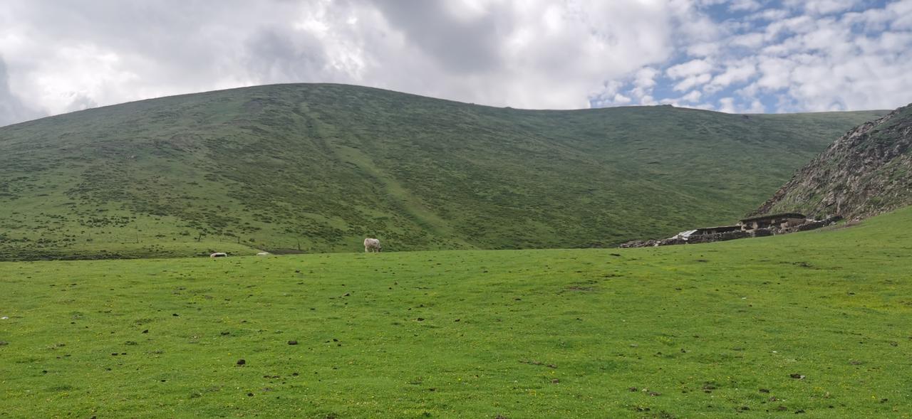 发现一个细思极恐的问题，朋友最近准备在西安装修房子，想装某品牌的中央空调，就和一