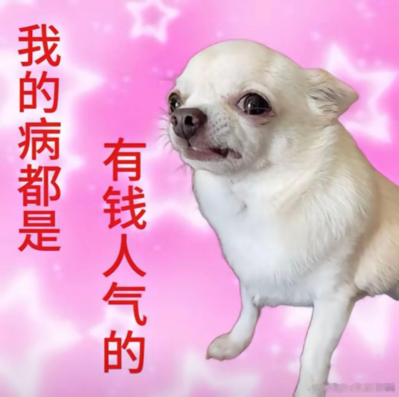 荔枝奶茶是独属于广东人的快乐真想急头白脸地和广东网友干杯奶茶 从时令鲜果升级为人