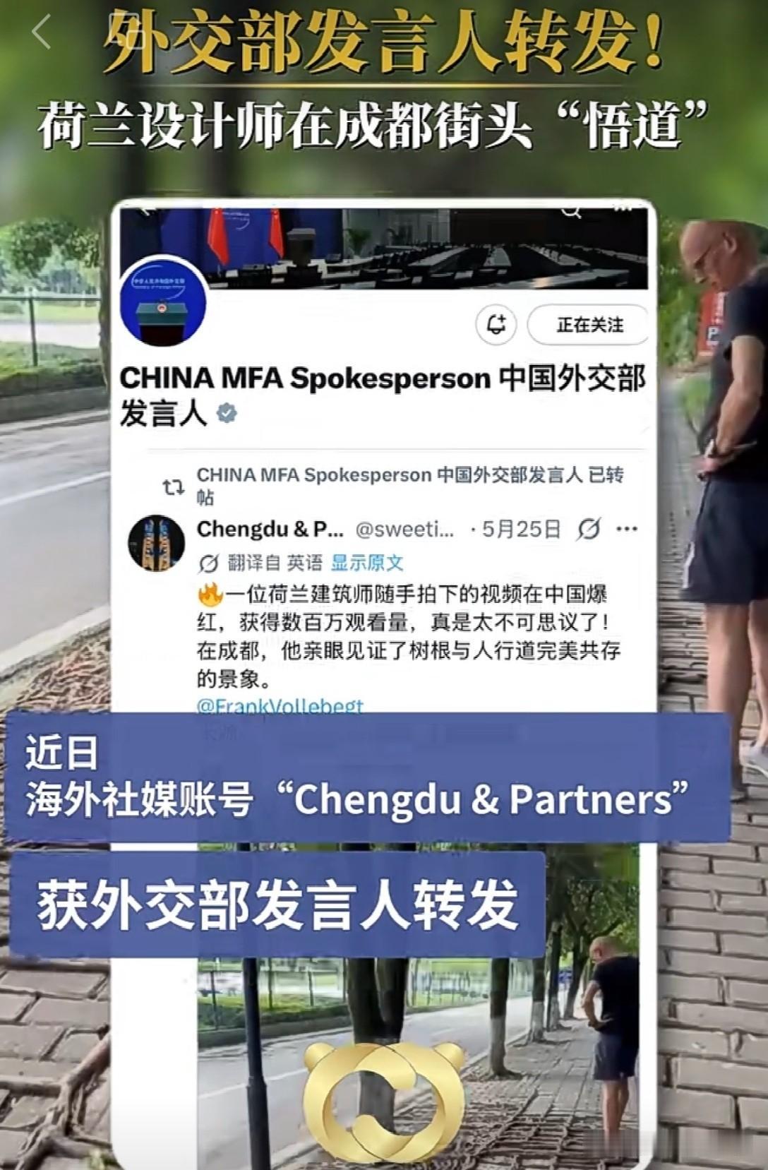 外交部发言人为何转发成都的一棵树。那是因为一位荷兰设计师在成都街头“悟道”，亲眼