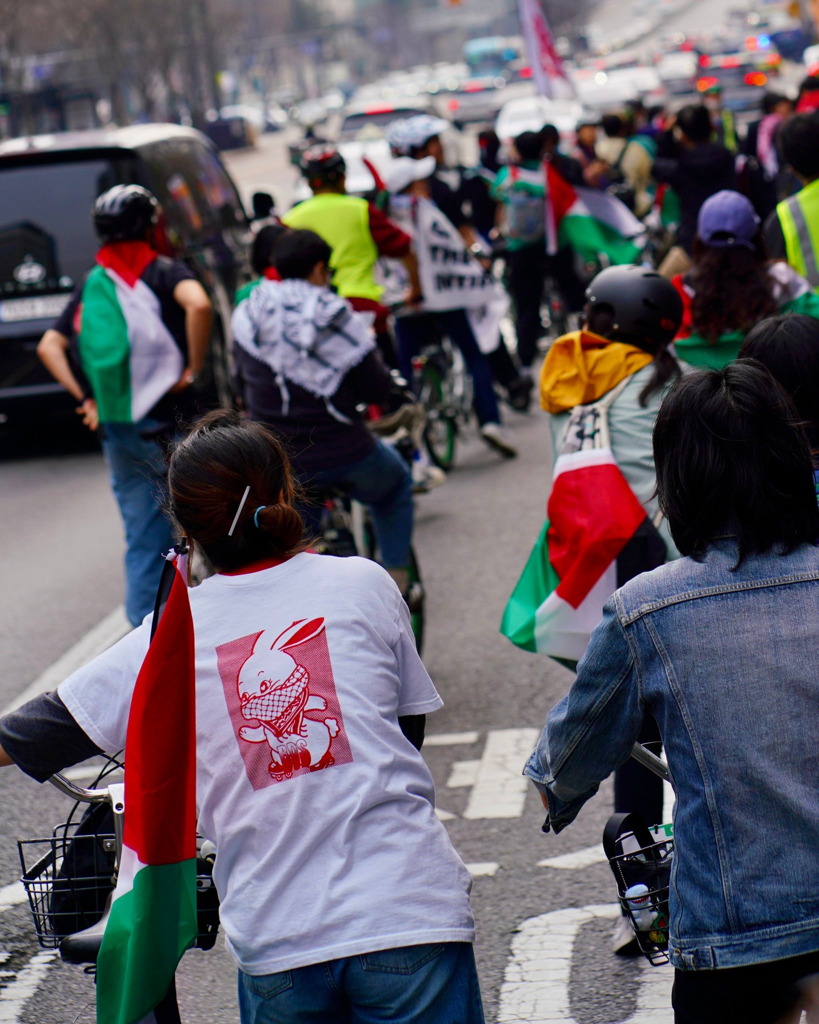 这兔子怎么跟newjeans一样无处不在