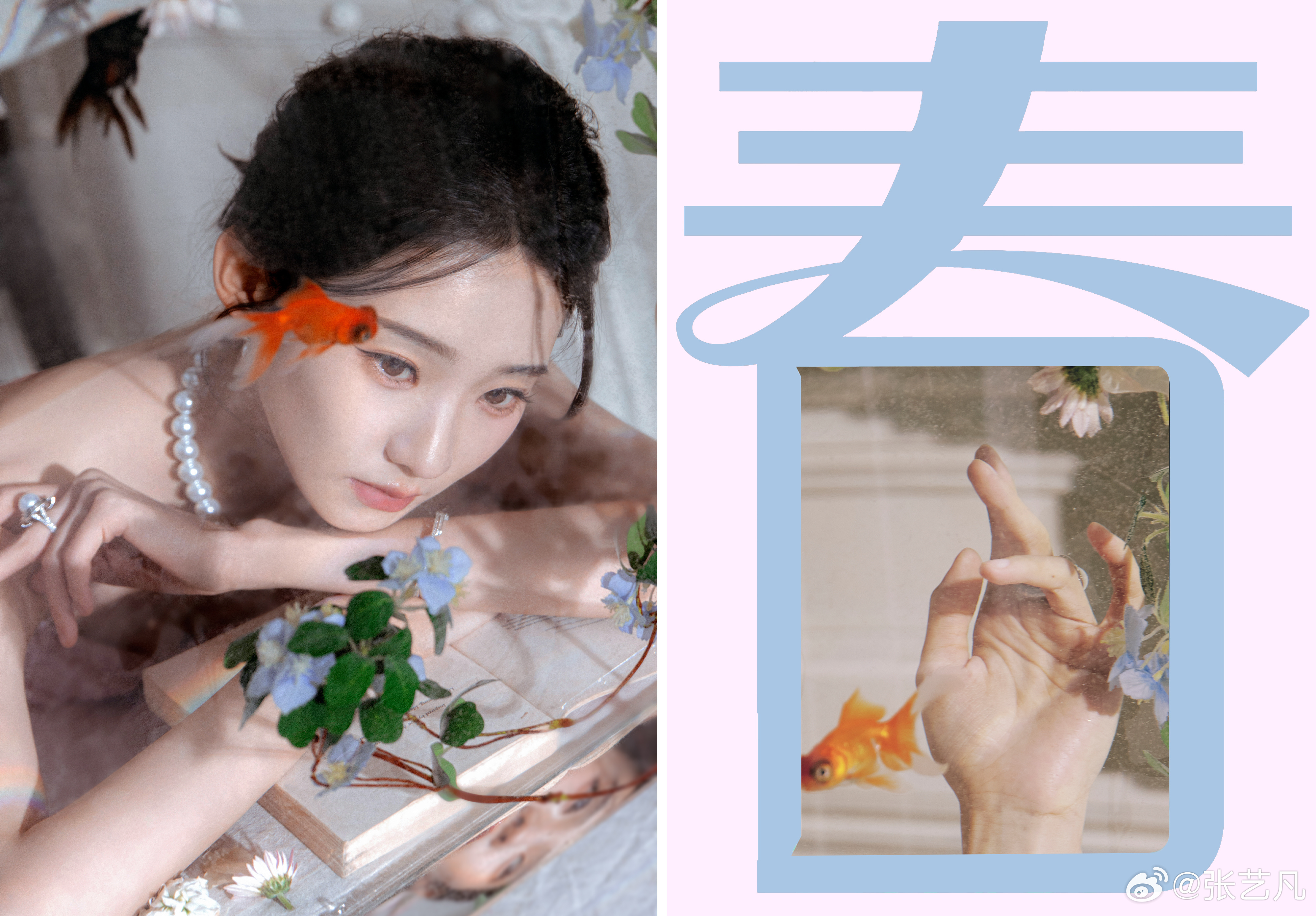 凡凡的不凡日常春来了🌸生活有星意 ​​​