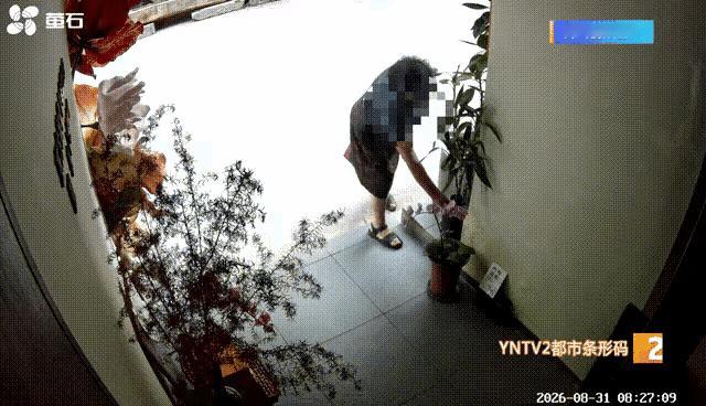 店门口的花被偷了，你会怎么办？
昆明一家小店的梁女士，给出了教科书式的“温柔处理