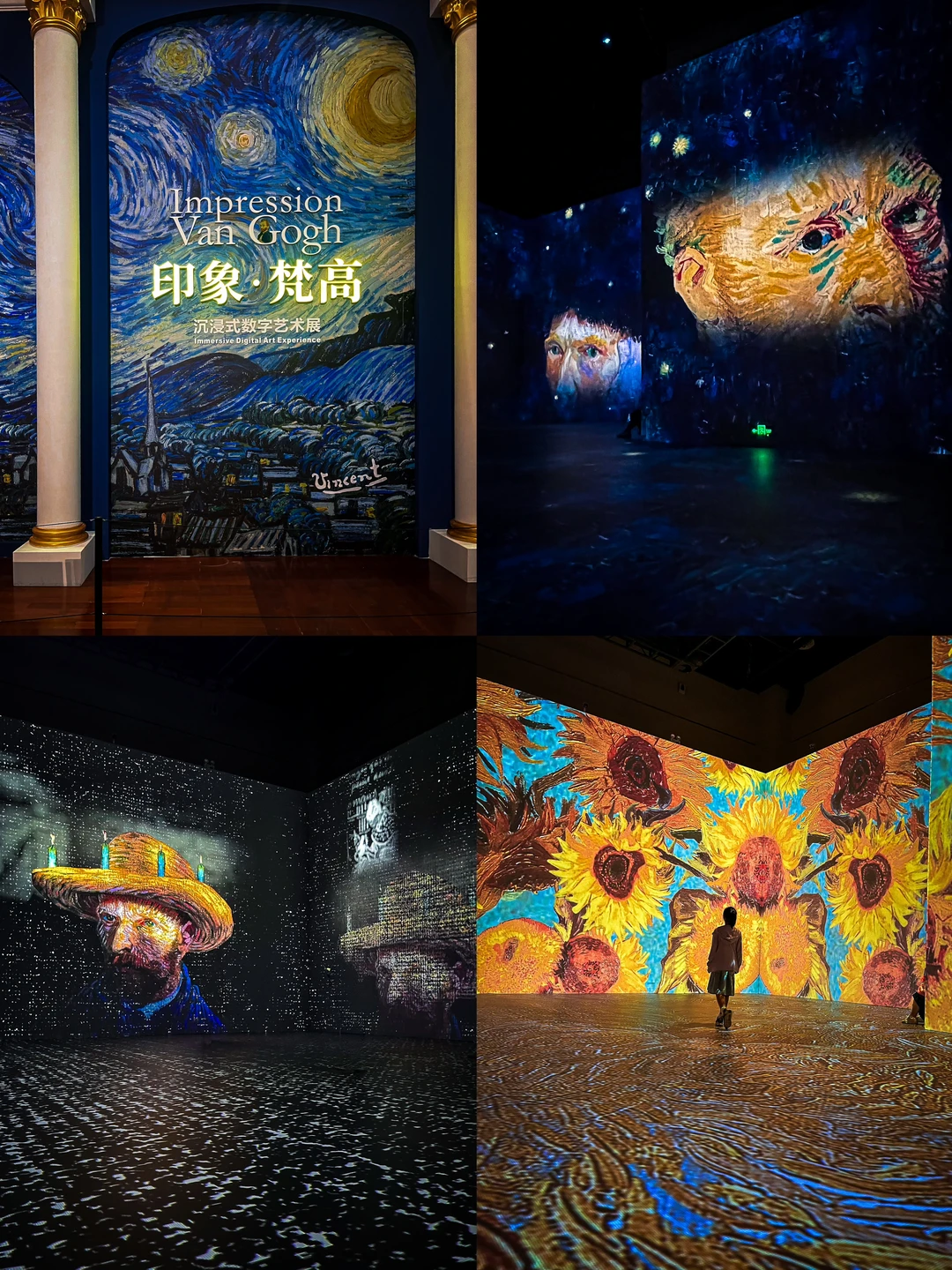 广州新展｜让这个夏天走进在梵高的油画里🌻