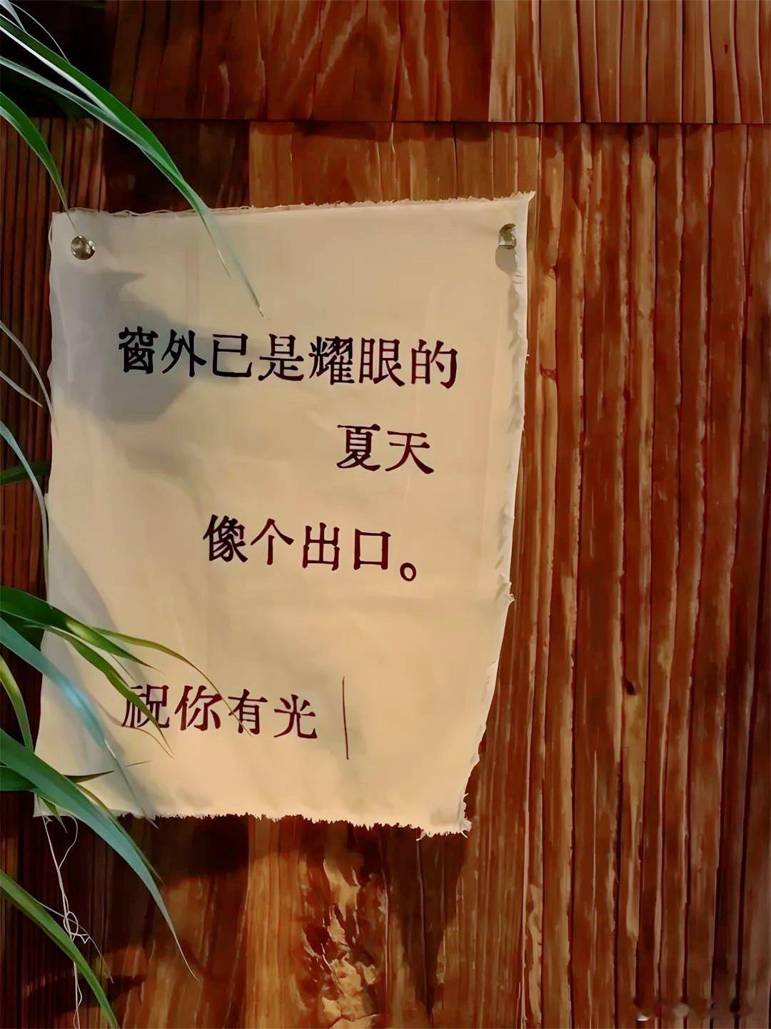 有人理解是运气 ，没人理解， 就淡定独行。 ​​​