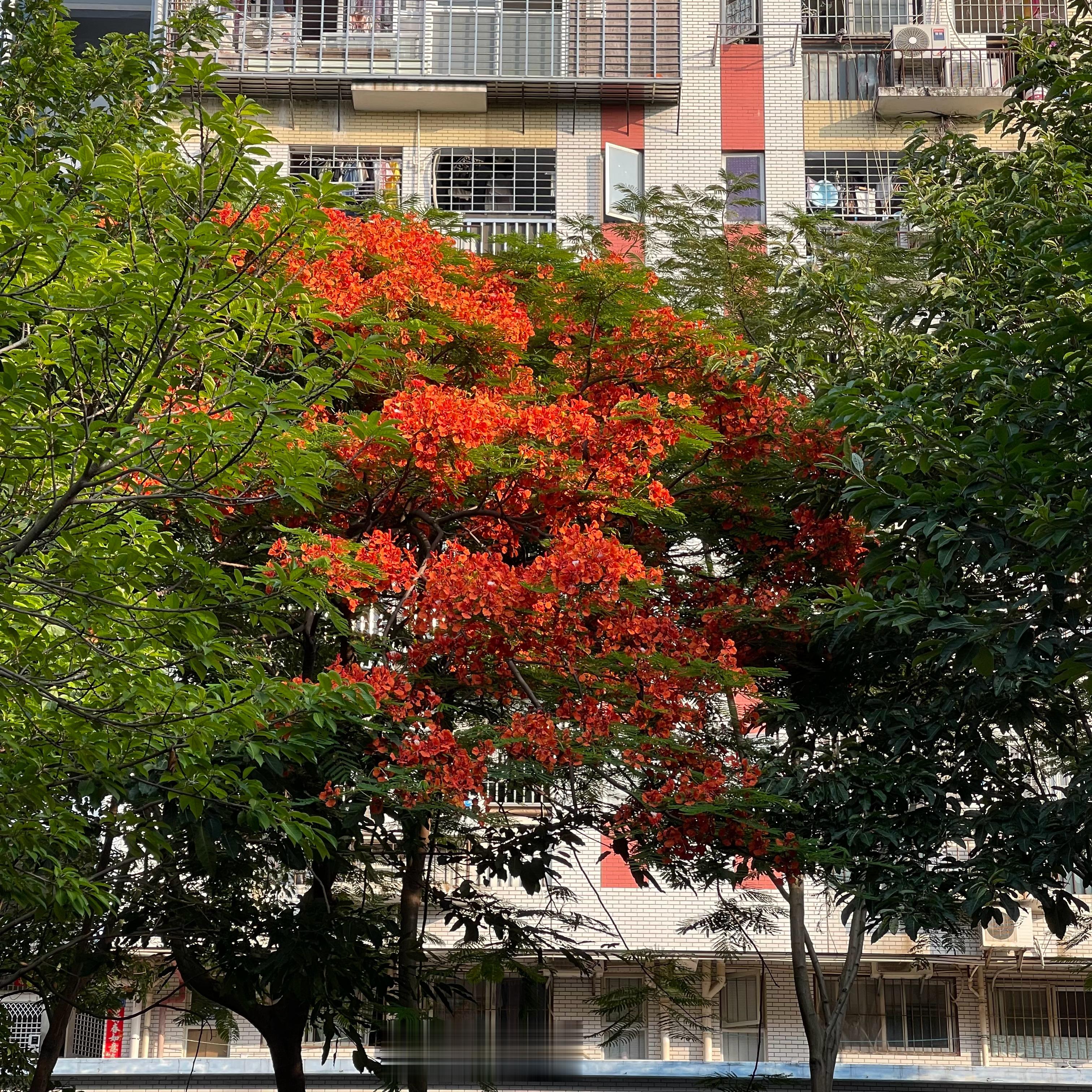 又是一年#高考#时，理想就此起航～愿高考学子：得偿所愿，旗开得胜，金榜题名！这几